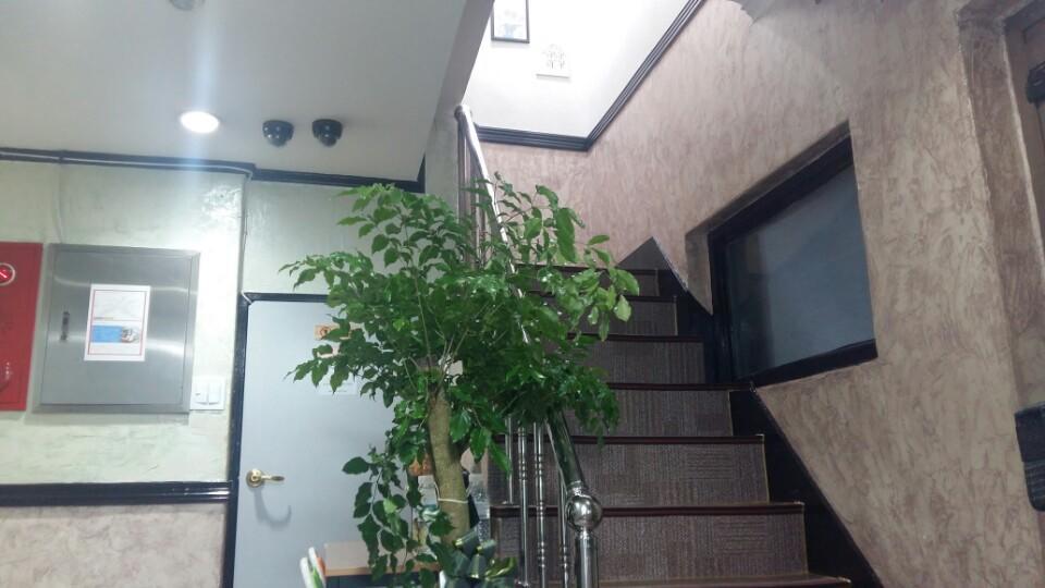 Kimstay Seúl Exterior foto